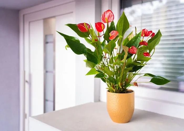 Pod Velbi Apartman *