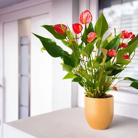 Pod Velbi Apartamento *